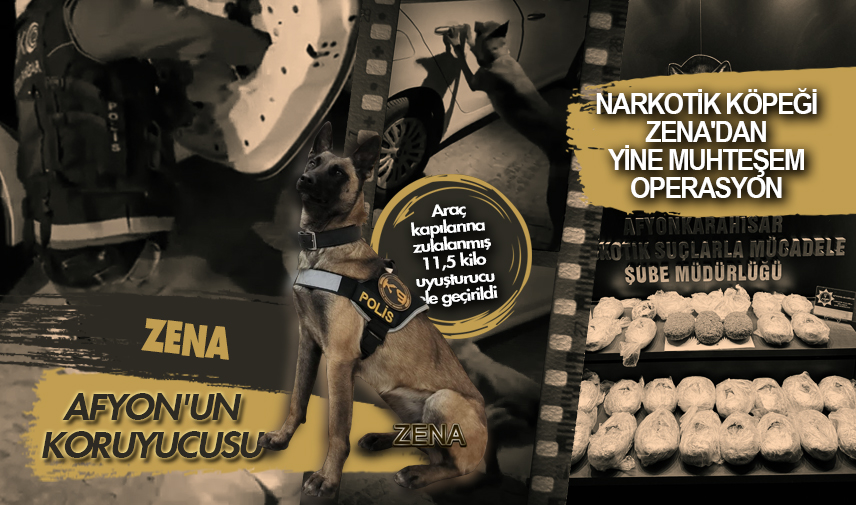 Narkotik köpeği Zena'dan muhteşem operasyon